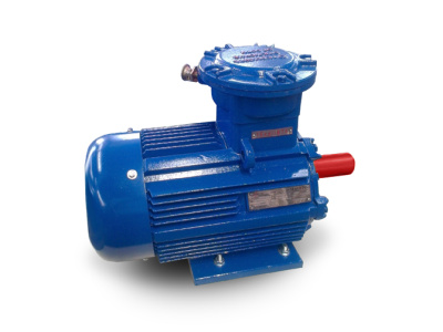 Электродвигатель ВА 250S6